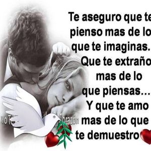 Meet your Posher, Thommy